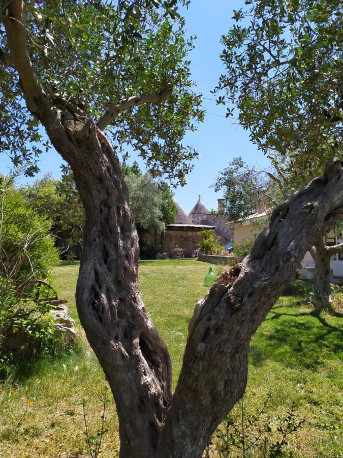 Trullo Galeotto Βίλα Μαρτίνα Φράνκα Εξωτερικό φωτογραφία