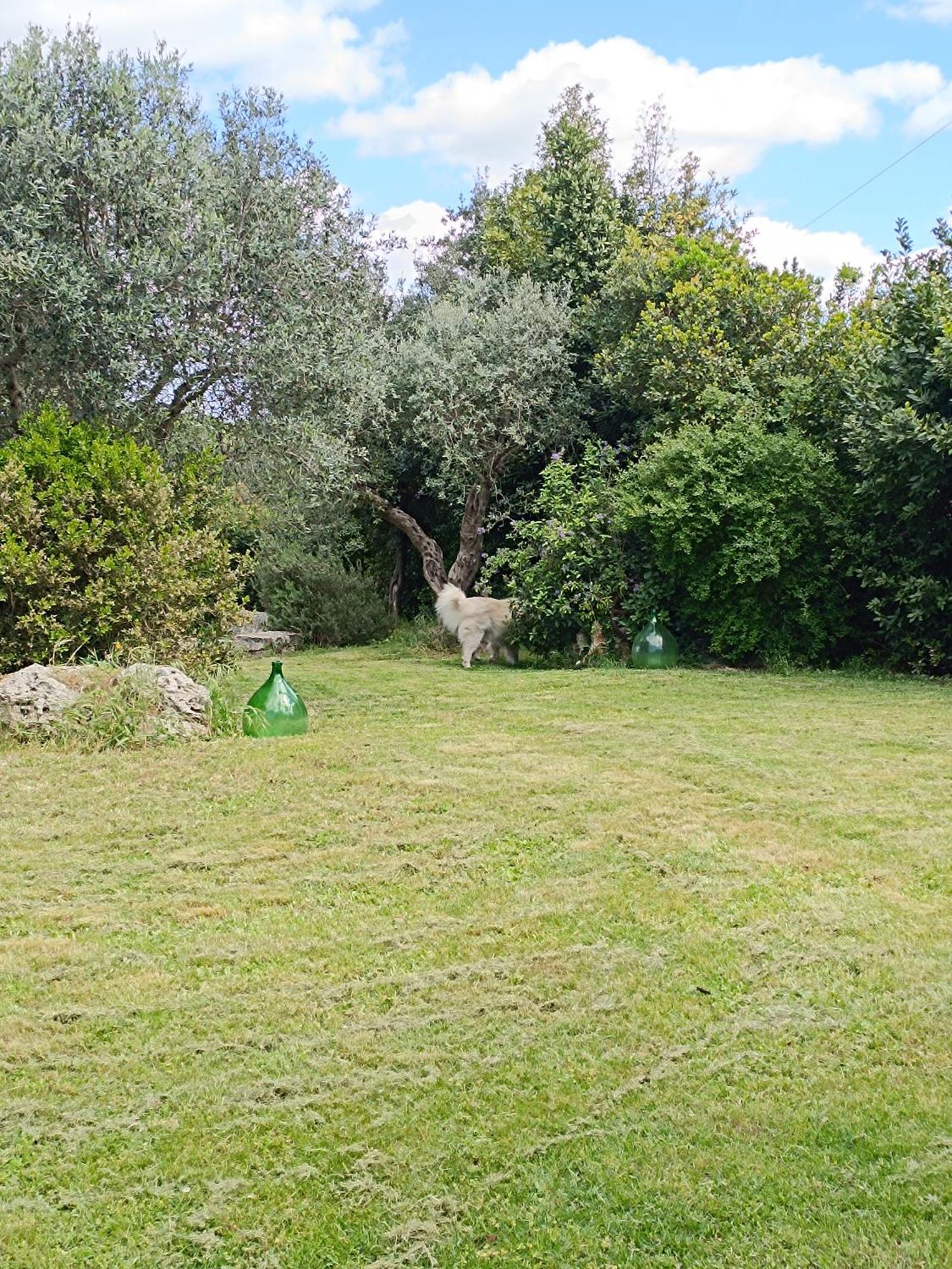 Trullo Galeotto Βίλα Μαρτίνα Φράνκα Εξωτερικό φωτογραφία